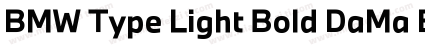 BMW Type Light Bold DaMa BMWType Bo字体转换